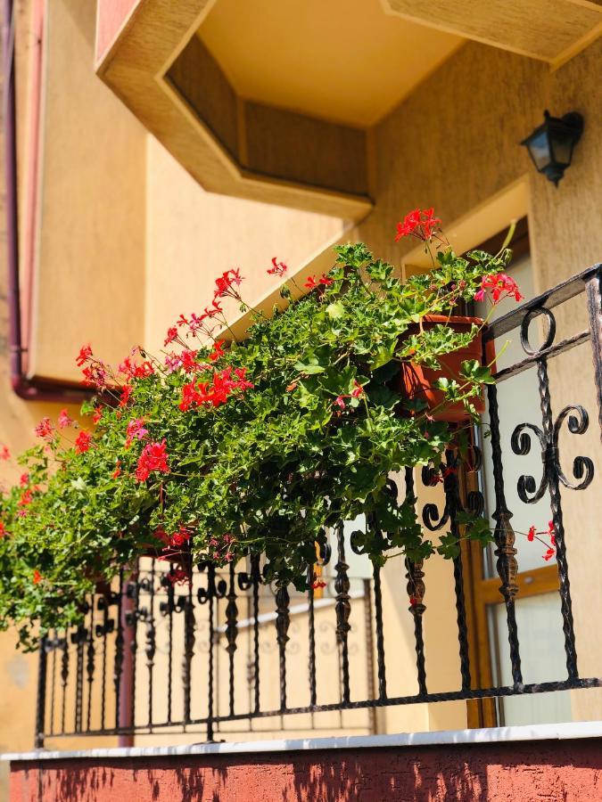 Apartament Apartament Central Konstanca Zewnętrze zdjęcie